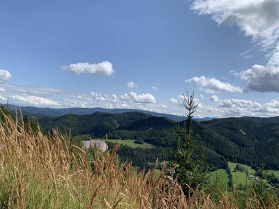 Bild 28 aus  Greithbauer Appartments