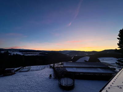 Bild 95 aus  Madritschhof