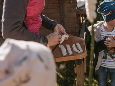 Bild 15 aus  Gasperhof