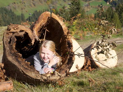 Bild 85 aus  Stembergerhof