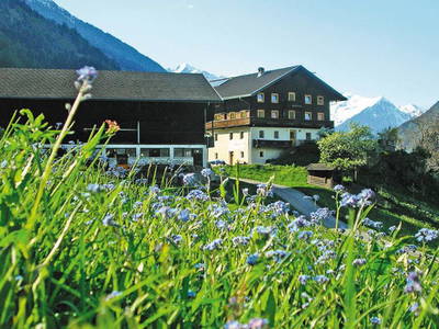 Bild 2 aus  Blasenhof