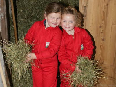 Bild 26 aus  Kinderbauernhof Albeineler Pitztal Tirol