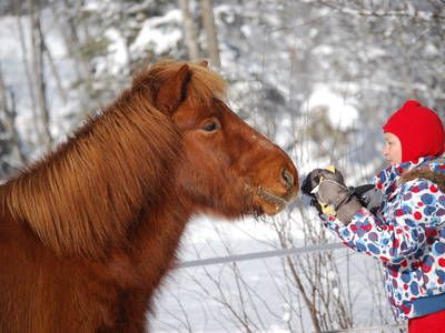 Bild 48 aus  Ployergut