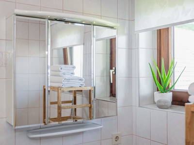 Bild 157 aus  Pleschinhof