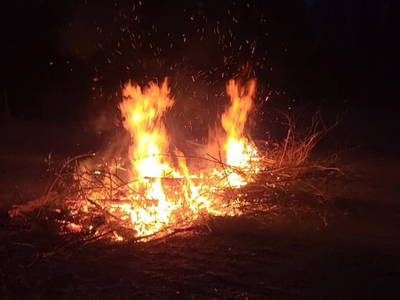Bild 36 aus  Pferdehof Gugganig