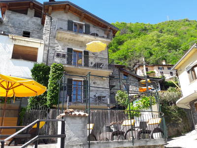 Bild 3 aus  Casarina