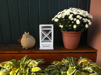 Bild 3 aus  Ferienwohnungen