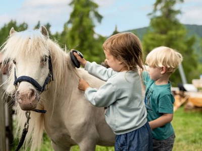 Bild 8 aus  Lärchhof