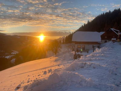 Bild 99 aus  Bio-Bergbauernhof Möslhof