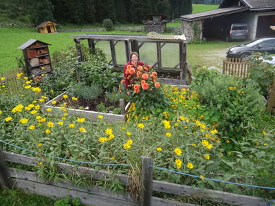 Bild 43 aus  Peilsteingut