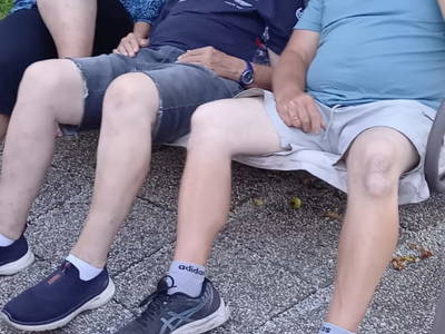 Bild 16 aus  Fötscherhof