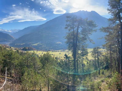 Bild 155 aus  Landhaus Zangerl - Kobelerhof