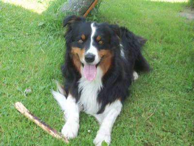 Bild 38 aus  Hoanz´nhof