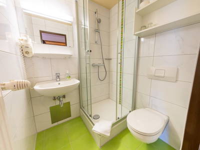 Bild 75 aus  Pension Zechnerhof