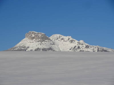 Bild 232 aus  Stanglhof