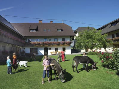 Bild 75 aus  Bauernhof Perhinig