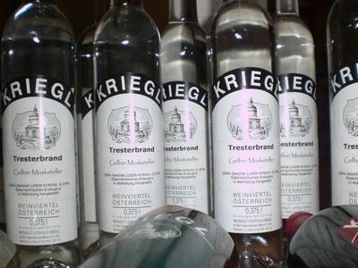 Bild 22 aus  Urlaubs - Weingut Kriegl