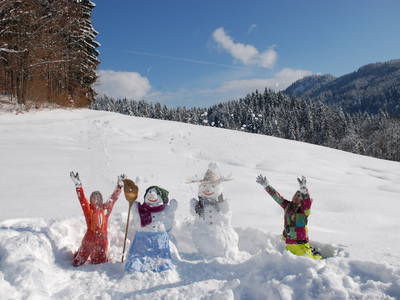 Bild 64 aus  Masererhof - Ferienbauernhof im Chiemgau