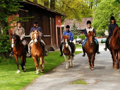 Bild 22 aus  Reiter- und Ferienhof Cohrs