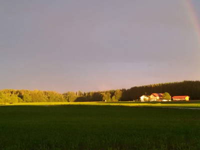 Bild 24 aus  Beim Lenglacher