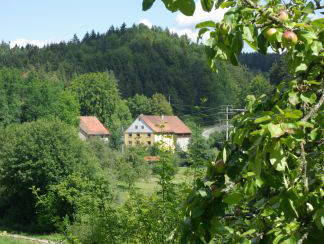 Bild 22 aus  Ferienwohnung Dachsmühle: Natur und Tiere