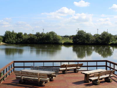 Bild 8 aus  Carstens Ferienhof