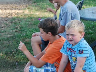 Bild 30 aus  Lindenhof