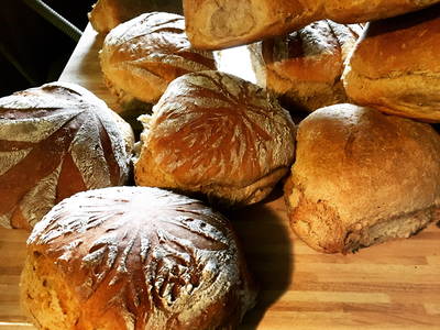 Bild 19 aus  Ferienpension-Bauernhof Mattenhof