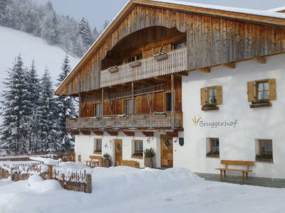 Bild 2 aus  Bruggerhof