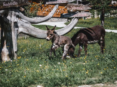 Bild 14 aus  LandSelection Proneben Gut