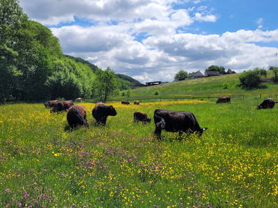 Bild 35 aus  LandSelection LANDGUT PFAUENHOF