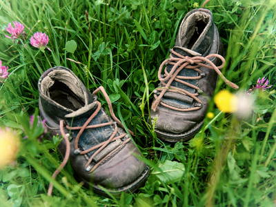 Bild 8 aus  Ferienhotel Starennest