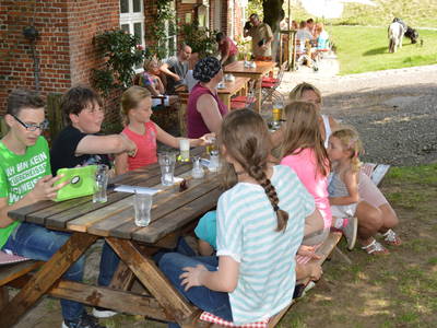 Bild 14 aus  Ferienhof Peter -  Ponys - streicheln, striegeln, füttern  -  Wattwanderungen + ganz viel Nordsee