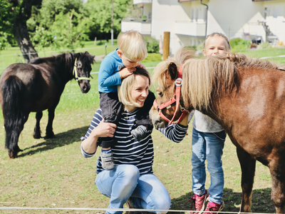 Bild 17 aus  Ferienhof König