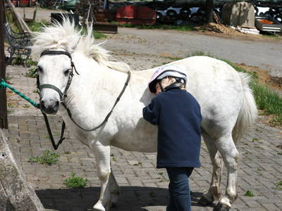 Bild 10 aus  Bauernhofpension Bals
