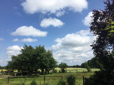 Bild 16 aus  Ferienwohnung Schöner Winkel