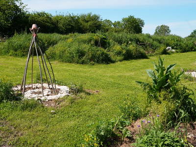 Entstehungsphase des Permakulturgartens