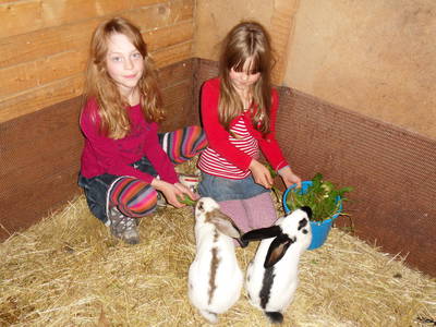 Bild 25 aus  Hubertushof Steidle