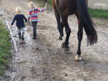 Bild 44 aus  Baustrup Hof