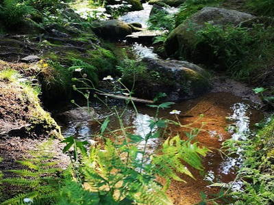 Elzquelle - mit Rad 47 min. vom Katingerhäusle entd