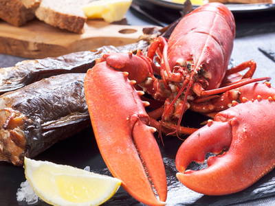 Bild 22 aus  The Hideaway Experience