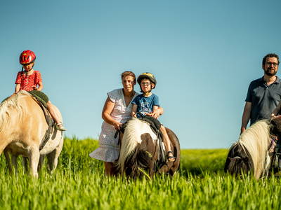 Bild 12 aus  LandSelection Grieshof