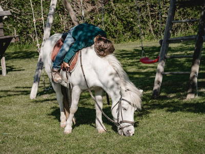 Bild 12 aus  Kimpelehof