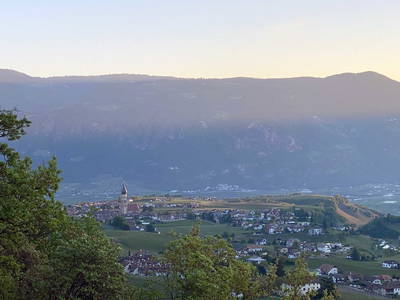 Bild 25 aus  Ansitz Grustdorf