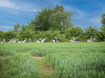 Bild 49 aus  LINDENHOF- BAUERNHOFURLAUB / OSTSEENÄHE
