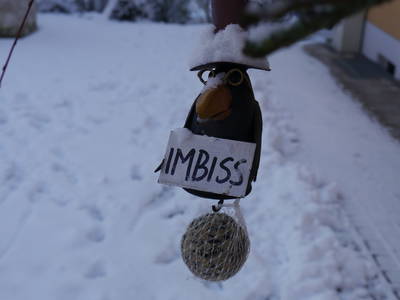 Bild 49 aus  Gästehaus im Lochautal