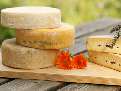 Bild 8 aus  Hof Klostersee