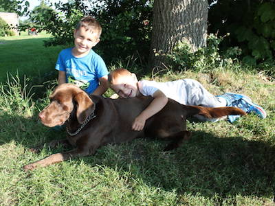 Bild 23 aus  Hof Sassen