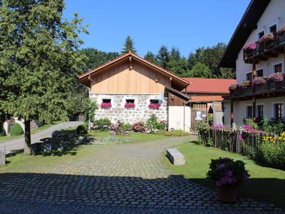 Bild 4 aus  Schollerhof