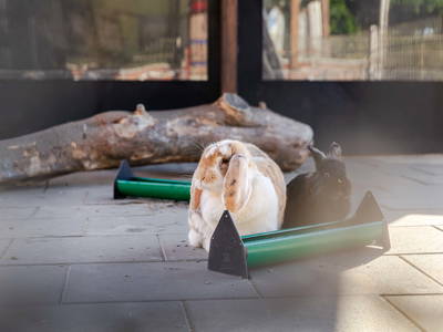 Bild 15 aus  Poenenhof